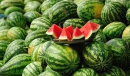 vx网红吃瓜免费入口