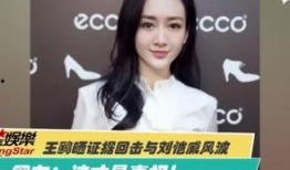 冰妍最新爆料视频,背后惊人真相曝光！